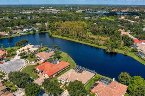 17923 ARBOR HAVEN DRIVE, TAMPA, FL 33647
