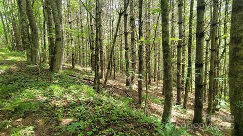 Eagle Bridge Road, Burnsville, NC 28714