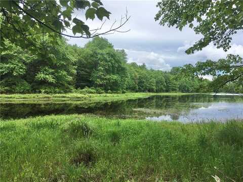 (17.-1-10.7&10.9) Horseshoe Lake Rd, Bethel, NY 12720
