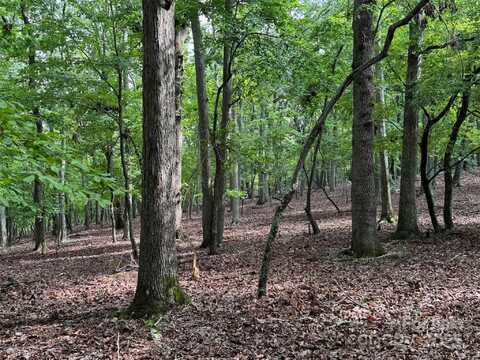 1695 Sierra Trace Road, Denton, NC 27239