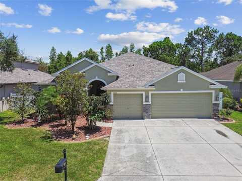 11126 BIDDEFORD PLACE, NEW PORT RICHEY, FL 34654