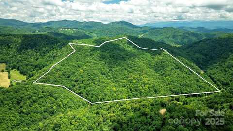 1710 Roaring Fork Road, Mars Hill, NC 28754