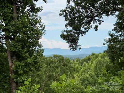 V/L Black Lark Drive unit: 178, Marion, NC 28752