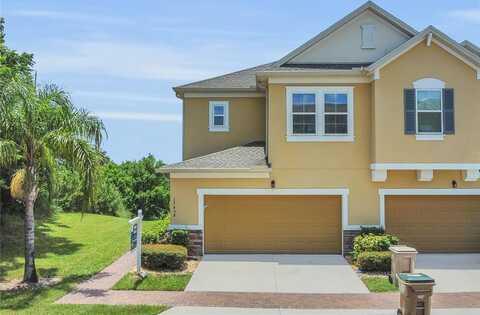17458 CHATEAU PINE WAY, CLERMONT, FL 34711