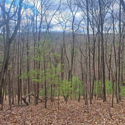 0 Ridge Drive, Three Springs, PA 17264