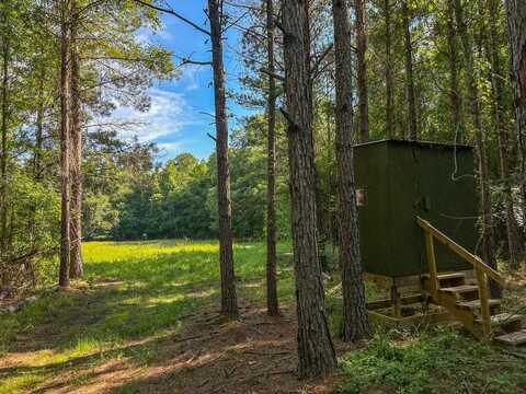 0 Fikes Ferry Road, Marion, AL 36756