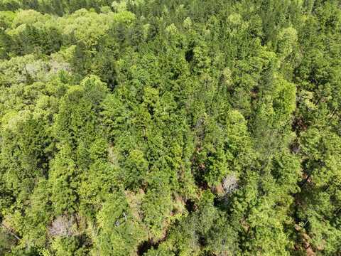 1 Ollie McCullough Road, Sprott, AL 36756