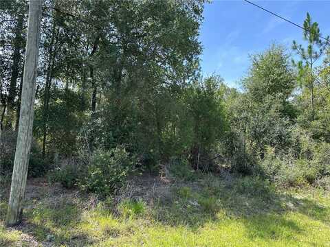 8547 N TROJAN DRIVE, CITRUS SPRINGS, FL 34433