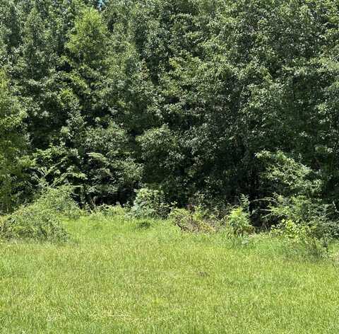 0 Branch Cove, Odenville, AL 35120