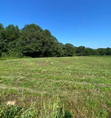 Highway 145, Columbiana, AL 35051