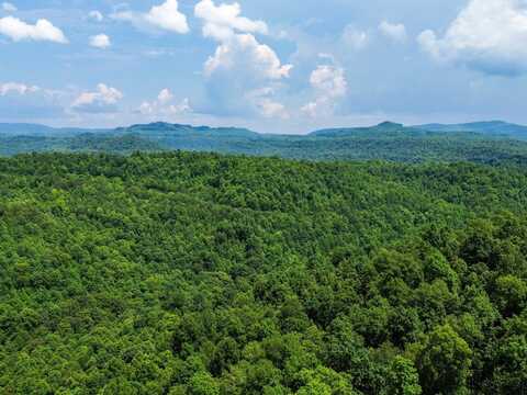 0 Hickory Hill Circle, Duff, TN 37729