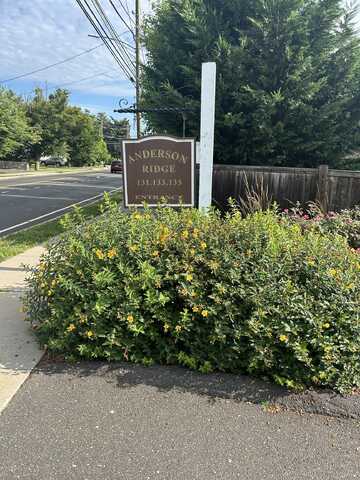 135 Courtland Avenue, Stamford, CT 06902