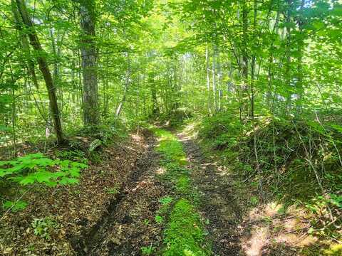 0 Low Gap Road, Robbins, TN 37852
