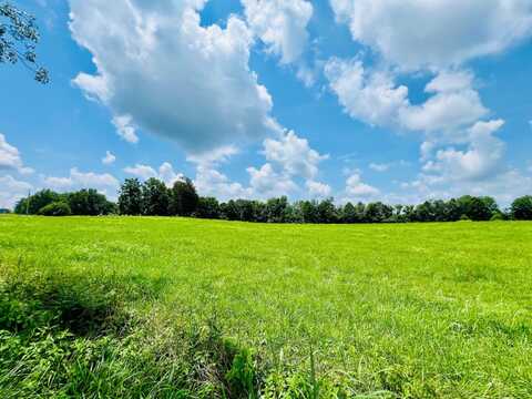 81 Shearer Cemetery Ln, Columbia, KY 42728
