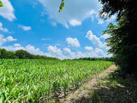 81 Shearer Cemetery Ln, Columbia, KY 42728