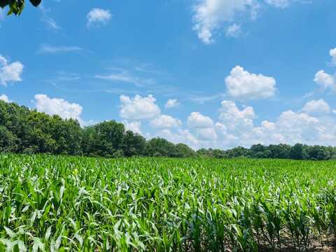 81 Shearer Cemetery Ln, Columbia, KY 42728