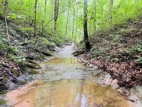 81 Shearer Cemetery Ln, Columbia, KY 42728