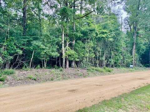 0 Jordon Grove Rd, Dozier, AL 36028
