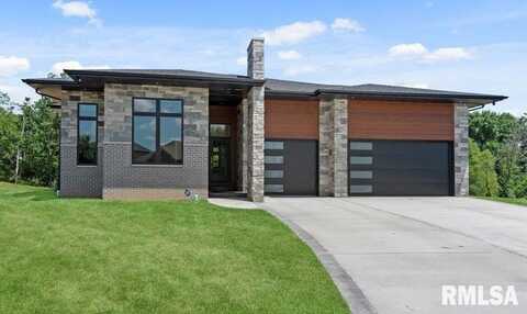 2004 Grants Pond, Chatham, IL 62629