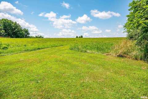 000 DUNCAN Road, Murrayville, IL 62668