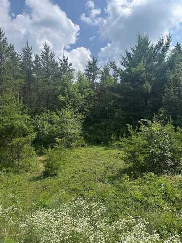 Lot 31 RED TAIL HAWK DRIVE, Stevens Point, WI 54482