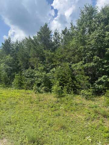 Lot 34 RED TAIL HAWK DRIVE, Stevens Point, WI 54482