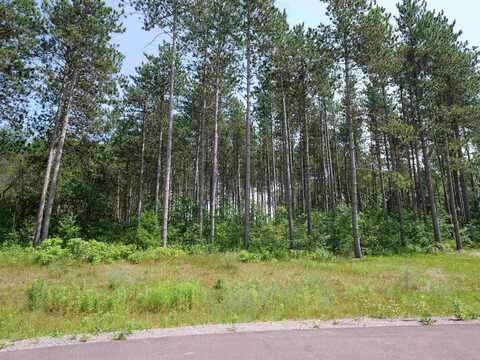 Lot 7 TWO SISTERS COURT, Stevens Point, WI 54482