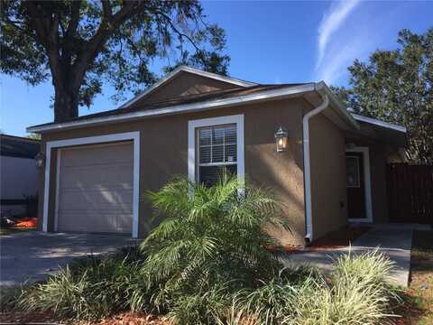 4309 LONGSHORE DRIVE, LAND O LAKES, FL 34639