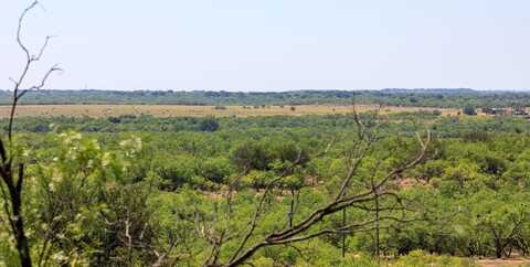 County Rd 240, Westbrook, TX 79565