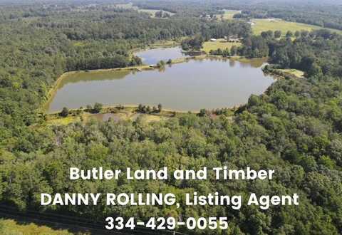 258 Ponderosa Rd, Greenville, AL 36037