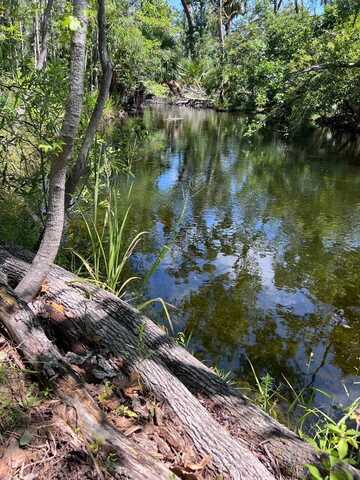 00 717th Ln, Steinhatchee, FL 32359