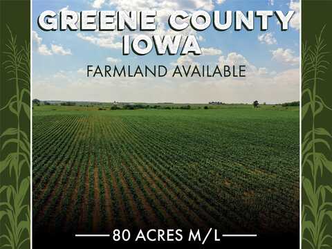 D Avenue, Scranton, IA 51462