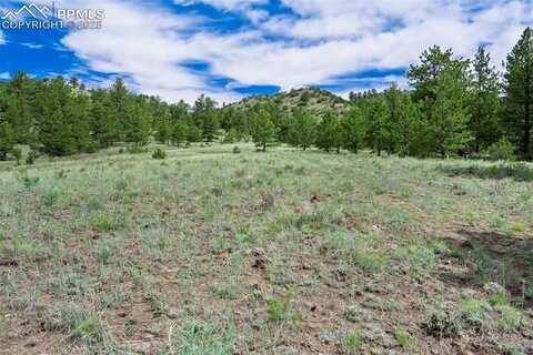 Tract 8 County Road 102, Guffey, CO 80820