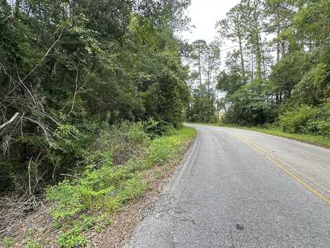 20+/- Ac Keyser Mill Road, Baker, FL 32531