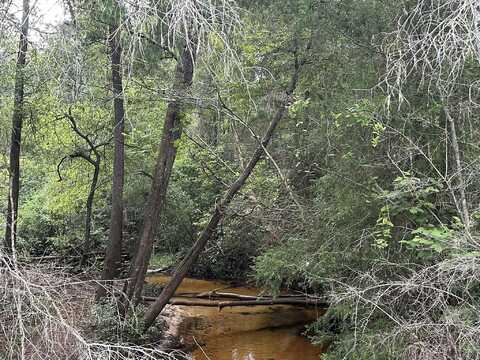 33+/- Ac Keyser Mill Road, Baker, FL 32531