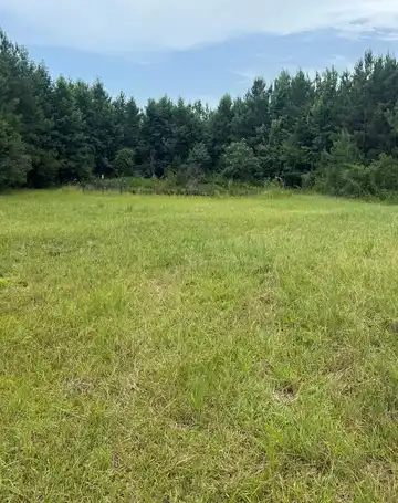 134A Harry Sones Rd, Poplarville, MS 39470