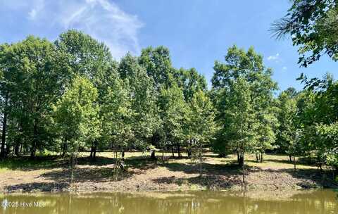 291 Gails Road, West End, NC 27376