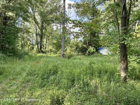 4020 Wieman, Beaverton, MI 48612