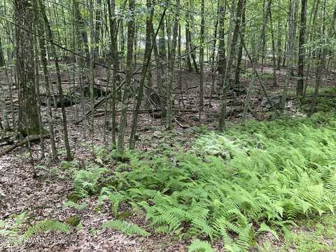 Lot 92 Stone Drive, Hawley, PA 18428