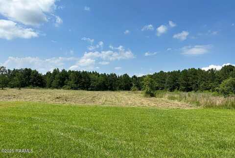 203 Bourbon Road, Basile, LA 70515
