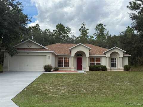 36 Fringetree Street, Homosassa, FL 34446