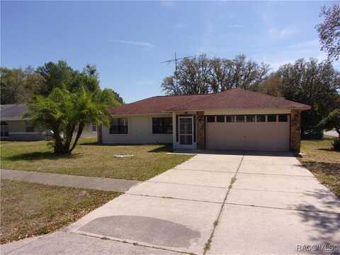 9291 N Mitchelle Drive, Citrus Springs, FL 34434