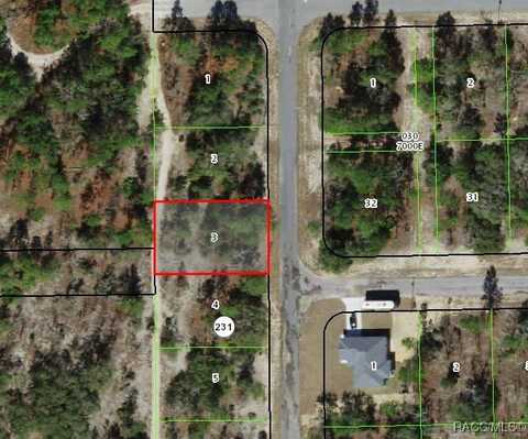 10346 N Spaulding Drive, Citrus Springs, FL 34433