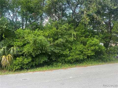 11 Jamaica Street, Homosassa, FL 34446