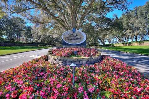 2598 N Troon Path, Lecanto, FL 34461