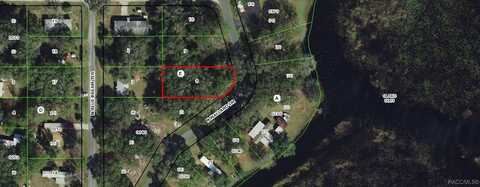 6080 N Mallard Drive, Hernando, FL 34442