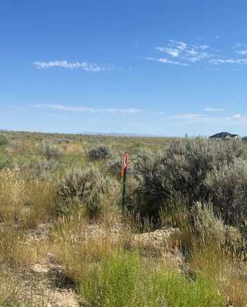 12 Hog Tommy Road, Spring Creek, NV 89815
