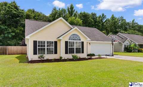 2132 Tillers Plow Row, Effingham, SC 29541