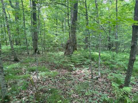 0 28 7/16-28 9/16 Street, Birchwood, WI 54817