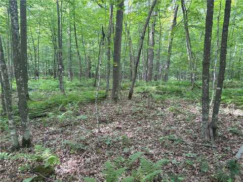 0 28 7/16-28 9/16 Street, Birchwood, WI 54817